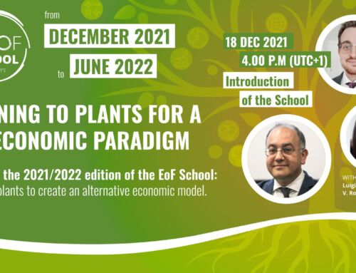 Listening to plants for a new economic paradigm – EoF School 2022