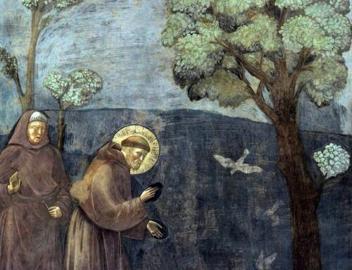 Beyond the Icon, Beyond the Human: An Ecocritical Reading of Francis of Assisi across Irish and British Poetry (1960s-2010s)