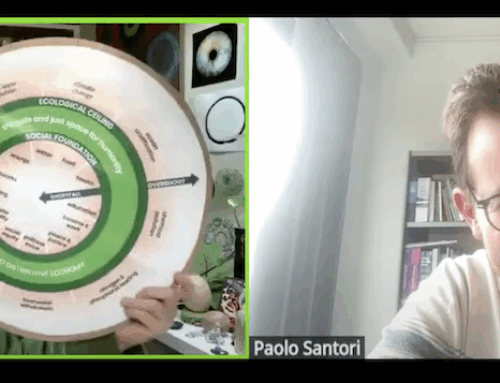 Moving beyond the tacit goal of endless economic growth:  Escaping outdated paradigms through Doughnut Economics?