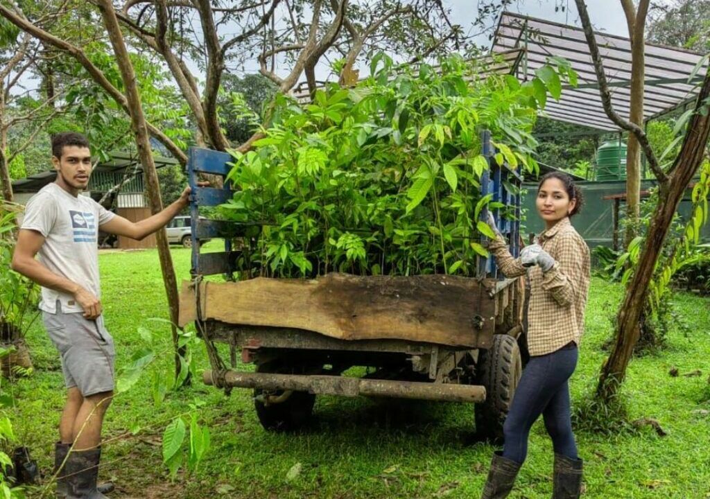 xr:d:DAFexgT21rU:7,j:7335630330559015490,t:23060503