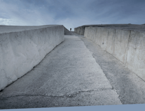 World Fraternity Report 2025