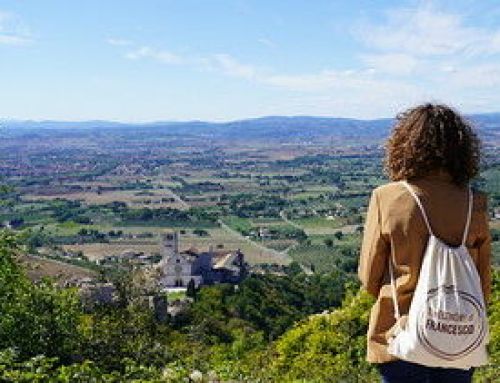 A shared language for a shared journey: presenting the Core Values and Culture of The Economy of Francesco
