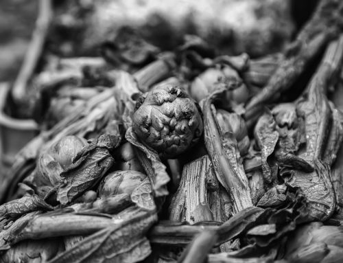 When Reducing Food Waste Leads to Overeating: Understanding an Overlooked Household Trade-off