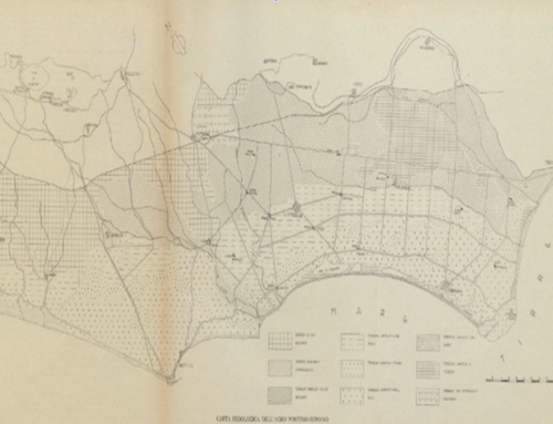 How Fascist Italy Distributed Land in the Pontine Marshes: Rules, Reality, and the Limits of Planning