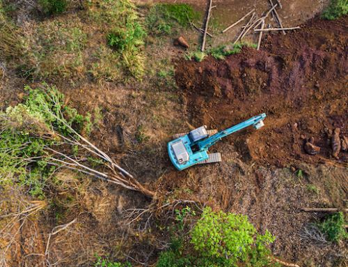 Restoring the Earth, Restoring Life: Indigenous Knowledge, Regenerative Economies, and Capacities for Buen Vivir in Times of Crisis