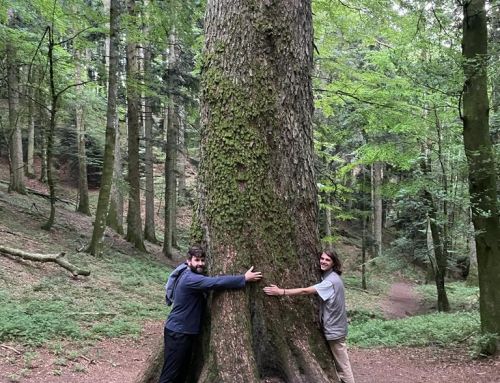 Caring for Creation Together: When Stewardship Becomes a Spiritual Practice